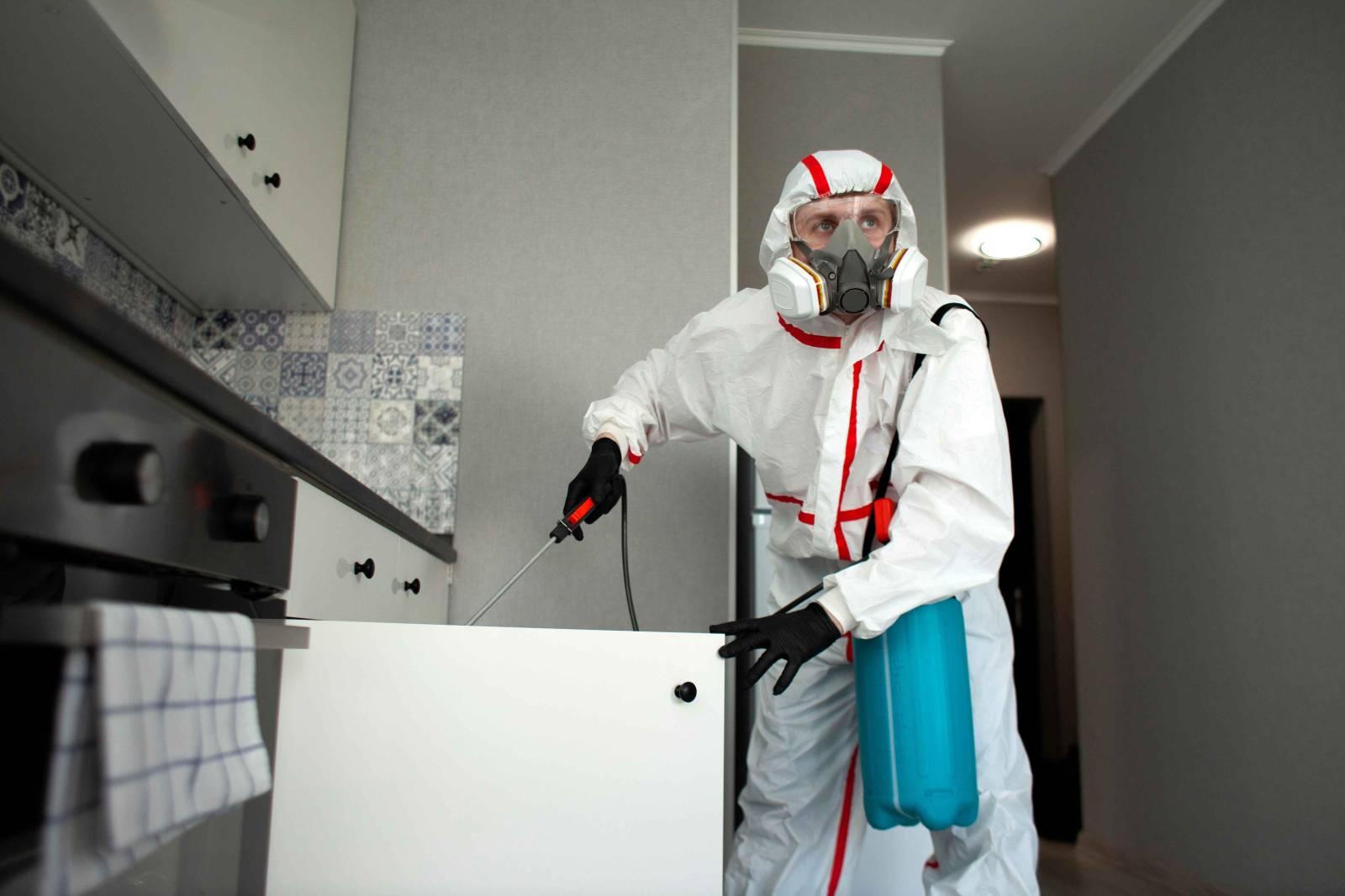 Expert en dératisation pour appliquer produits biocides à libération lente à Nice 06088 dans les Alpes Maritimes