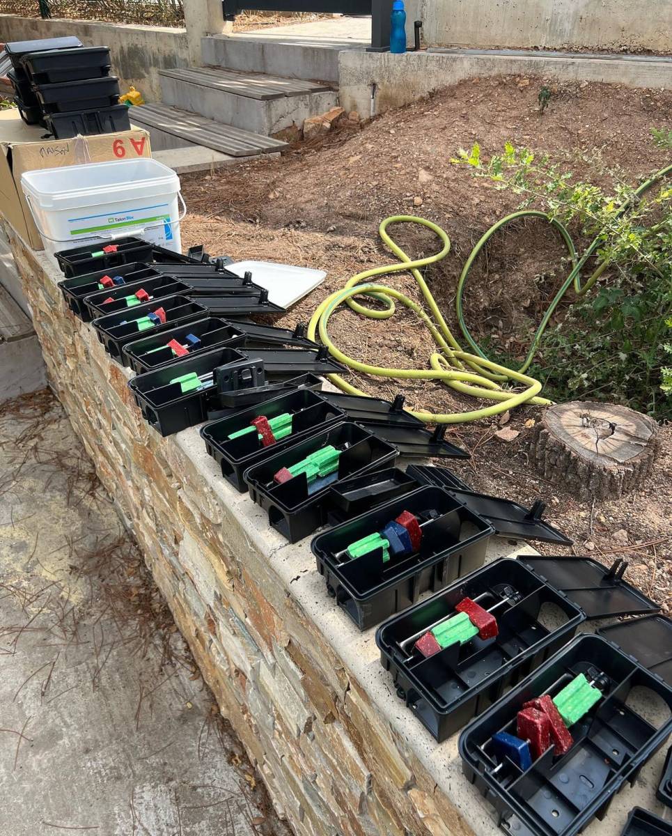 Dératisation par appâtage à Draguignan