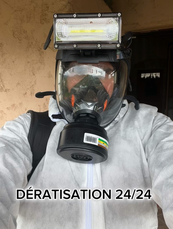 Devis entreprise services 3D pour traitement punaise de lit à Nice Alpes-Maritimes