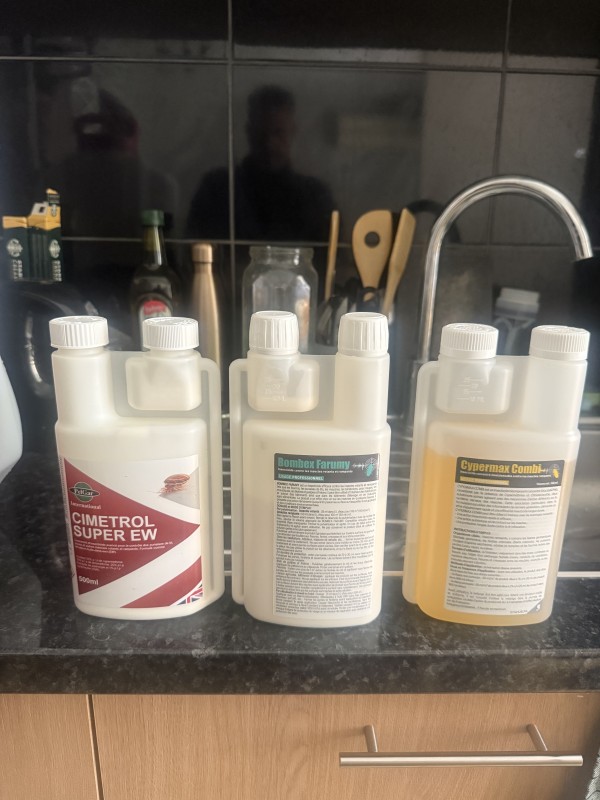 Combien de temps faut-il pour éradiquer une infestation de punaises de lit ?