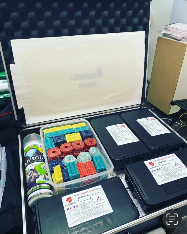 Dératisation professionnelle à Nans-les-Pins (83) : Éliminez efficacement les rongeurs