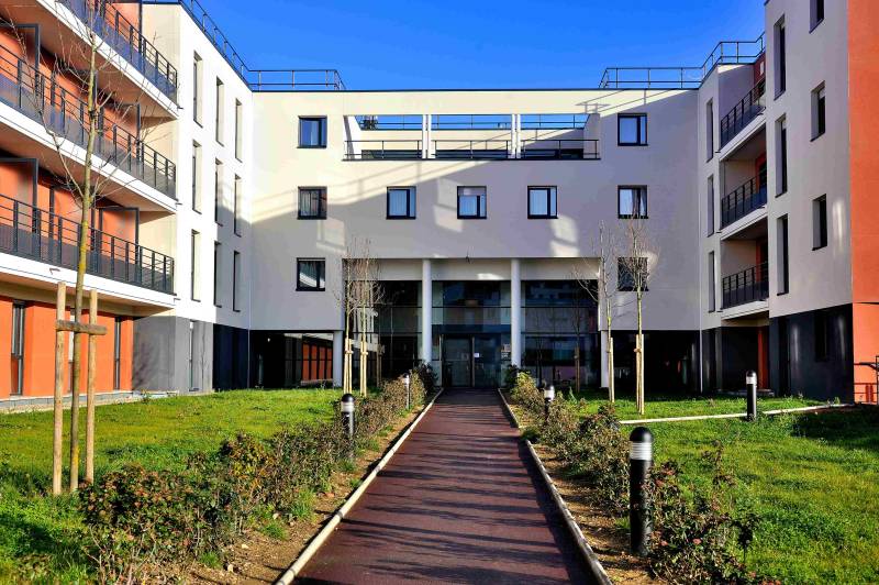 Urgence nuisibles dératisation rats et souris par appâtage sécurisé dans un immeuble à Nice 06088 dans les Alpes Maritimes