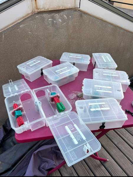 Société professionnelle pour dératisation dans un restaurant ou un hôtel à Toulon 83000