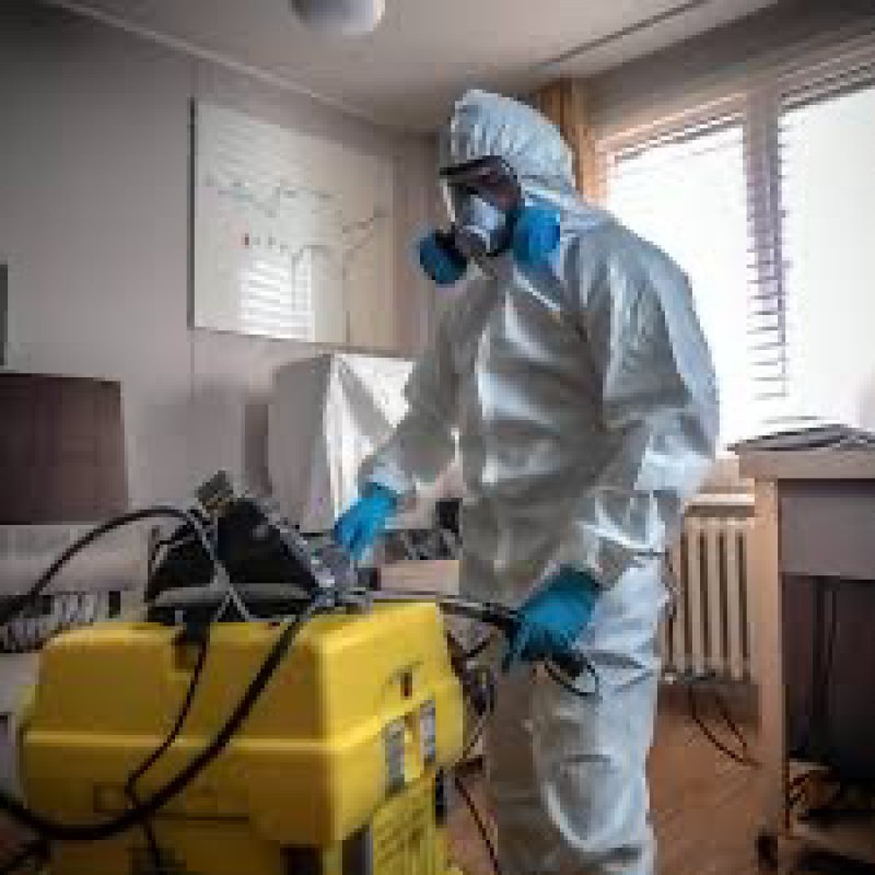 Tarif pour se débarrasser des punaises de lit Escragnolles 06058 vers Nice