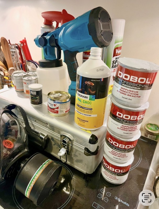 Quelles sont les méthodes les plus efficaces pour se débarrasser des punaises de lit ?