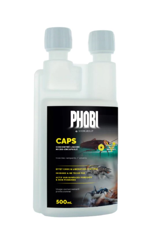 Combien de temps faut-il pour éradiquer une infestation de punaises de lit ?