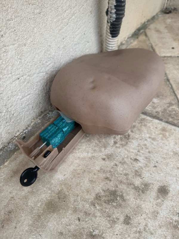 Dératiseur en urgence pour éradication des rats dans une copropriété par Accès Dératisation à Le Cannet