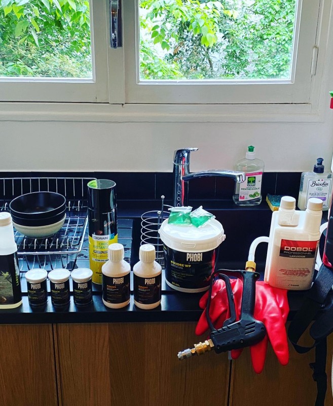 Traitement des punaises de lit à Nice (06) par un professionnel : Élimination professionnelle et efficace et définitive