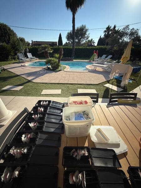 Entreprise de dératisation professionnelle pour rats dans une maison individuelle par traitement rodonticide à Nice 06088 dans les Alpes Maritimes