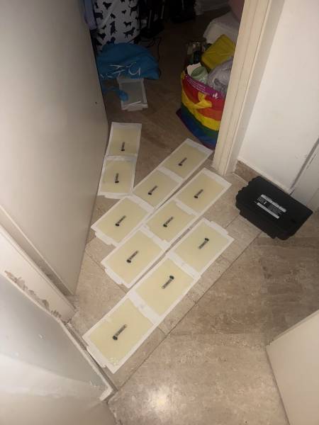 Dératisation à Nice avec plaques de glu (pièges collants) pour capturer rapidement des rats